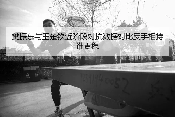 樊振东与王楚钦近阶段对抗数据对比反手相持谁更稳